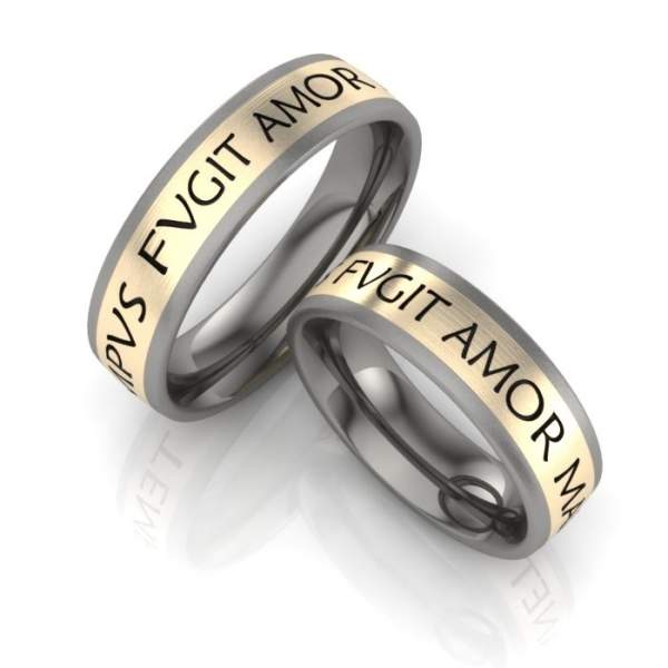 Trauringe Titan Gold ID1092